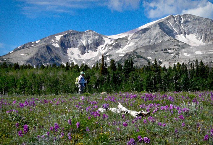 thomas_lake_trail.jpg